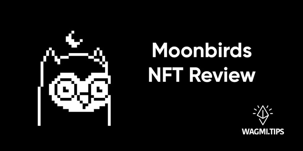 moonbirds nft review